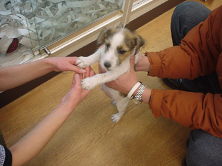 f0080105_437796.jpg