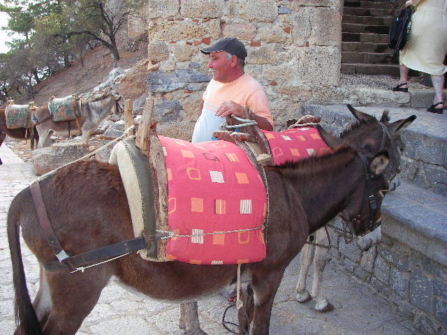 f0038407_3584973.jpg