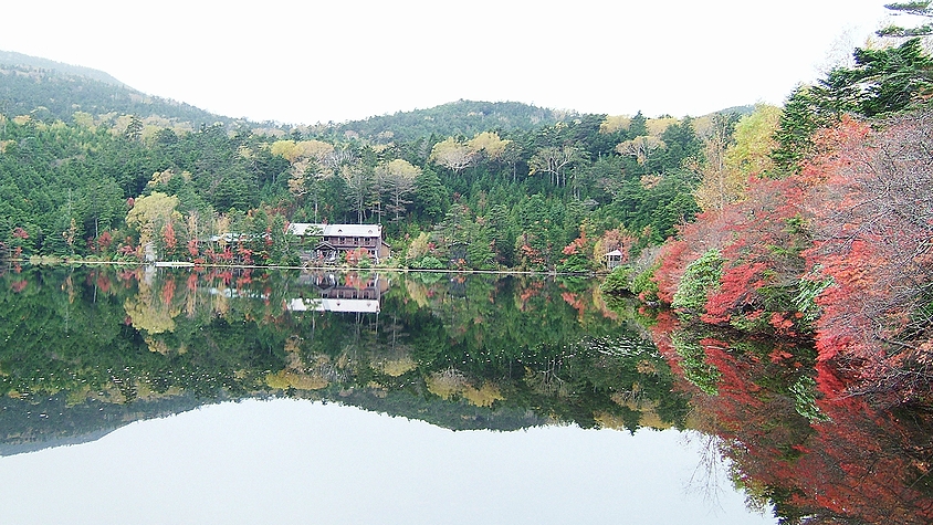紅葉_b0082112_12532210.jpg