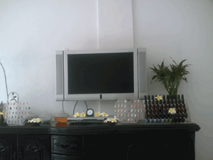 d0038319_14235774.gif