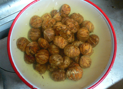 f0060424_0135258.jpg
