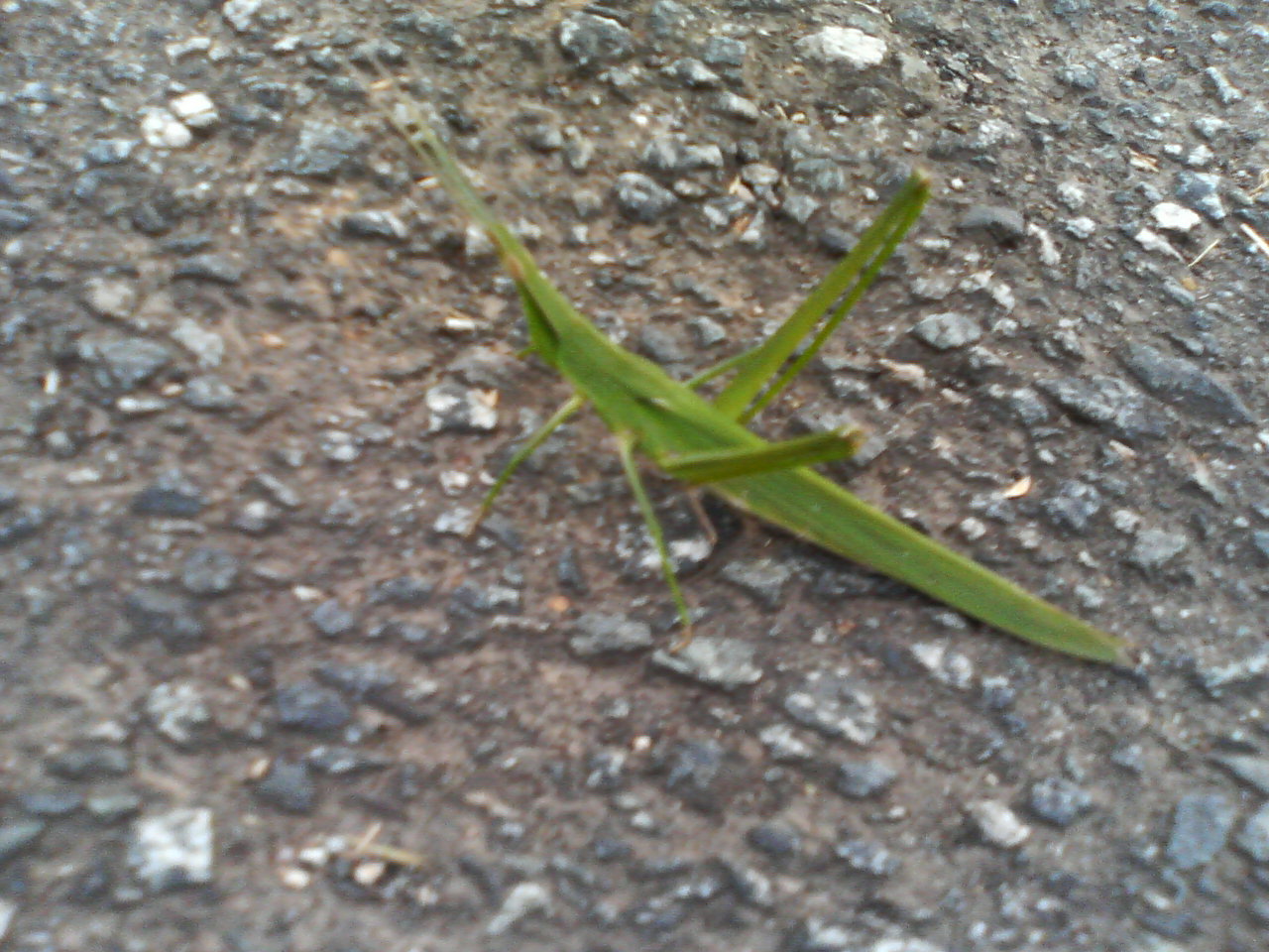 a0074938_17542410.jpg