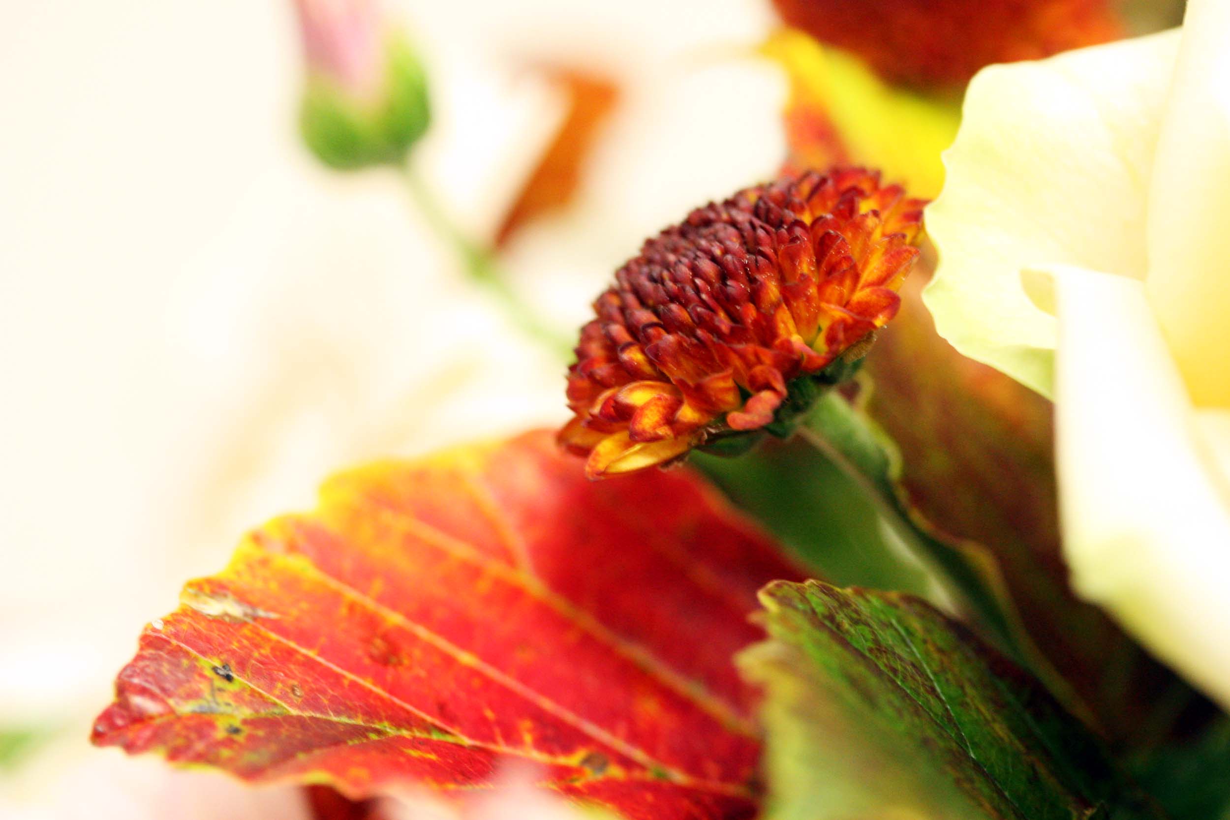 秋色のRound Bouquet_a0076043_22511571.jpg
