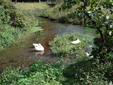f0041850_16331751.jpg