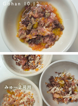 にゃんの受難_e0031853_22283465.jpg