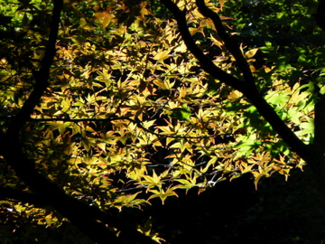 e0095468_22545839.jpg