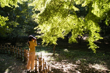 e0095468_236923.jpg