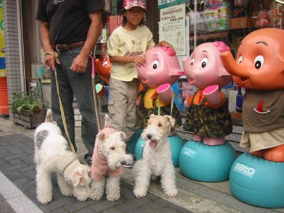 丹波篠山祭り〜２００６秋〜_d0048877_1630064.jpg