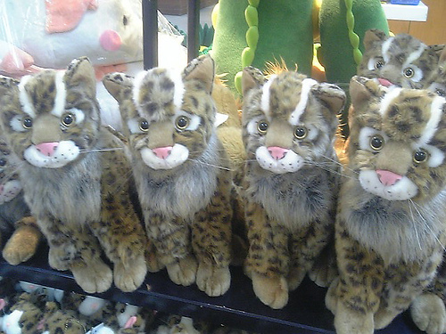 b0020695_015305.jpg