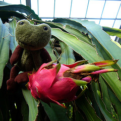 b0020695_073448.jpg