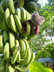 b0020695_074895.jpg
