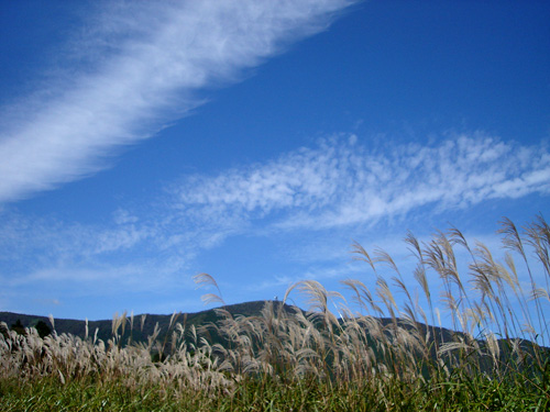 a0036400_249075.jpg