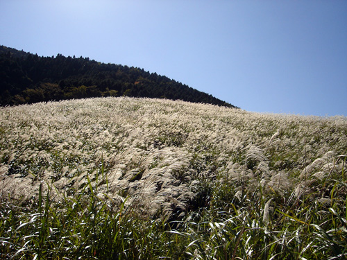 a0036400_2495195.jpg