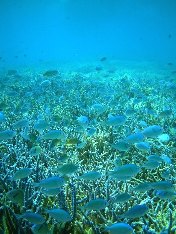 f0043911_227539.jpg