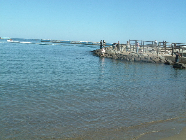 e0053732_1714092.jpg