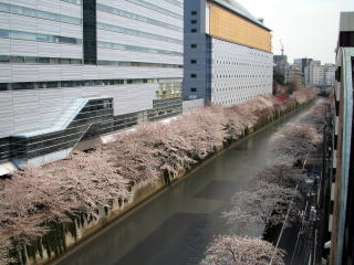 b0085736_21294517.jpg