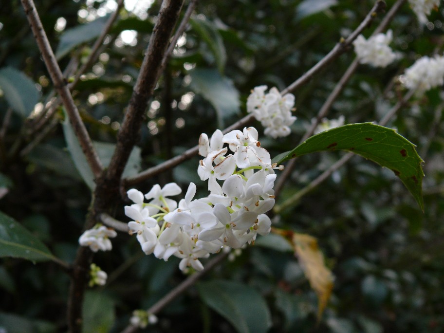 b0088444_2363714.jpg