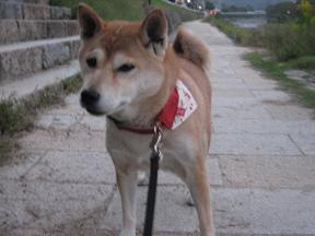 2度も。。。_c0049950_1933175.jpg