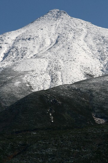f0000866_16991.jpg