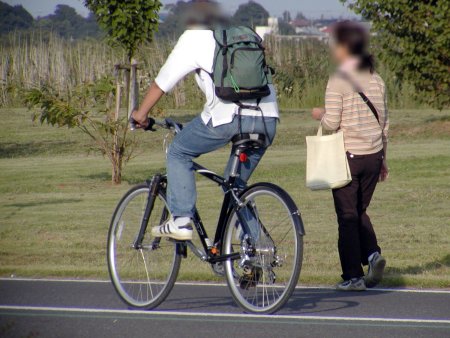 趣味悠々　見たままの中高年サイクリング車_a0034181_0511834.jpg