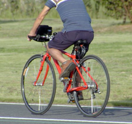 趣味悠々　見たままの中高年サイクリング車_a0034181_0532514.jpg