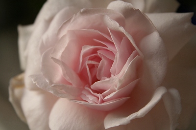 e0024385_17361418.jpg