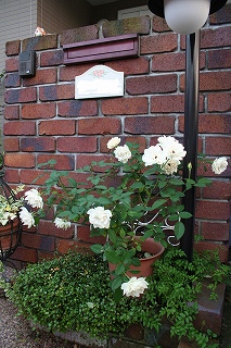e0024385_1737666.jpg