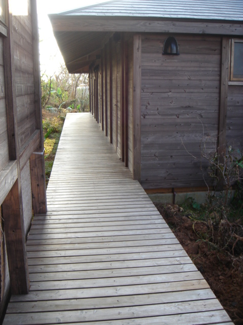 d0006498_17353123.jpg