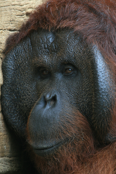 再登場_b0016600_2585725.jpg