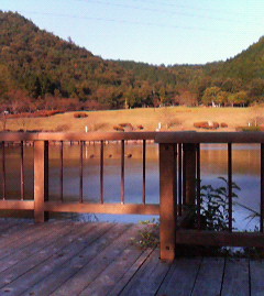 c0088605_15555299.jpg