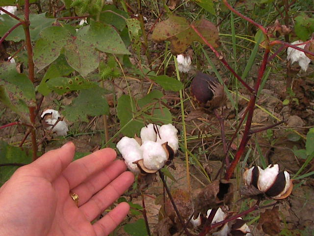 f0038407_537412.jpg