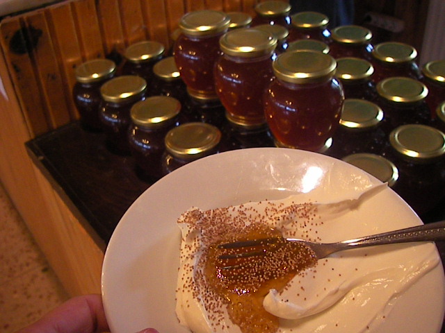 f0038407_5401427.jpg