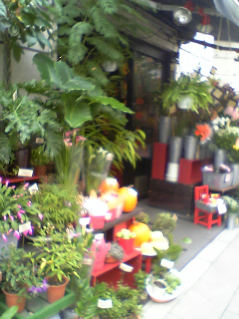 d0018308_9244276.jpg