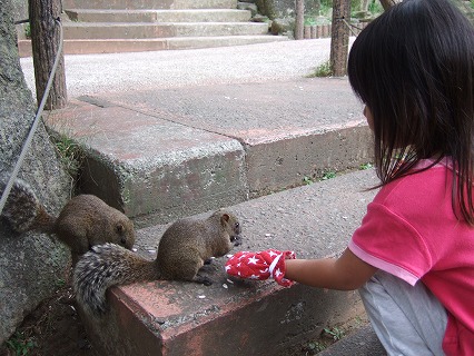 町田リス園_e0066813_22284917.jpg