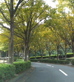 d0065116_18395595.jpg