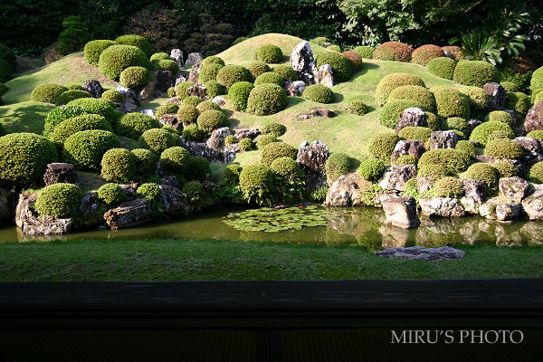 龍潭寺　その壱_c0037519_22233611.jpg