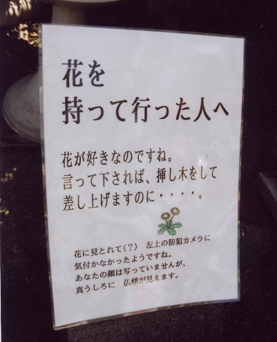 世界で一つだけの花_a0037241_1871379.jpg