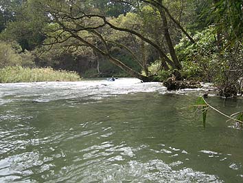 d0072855_21251721.jpg