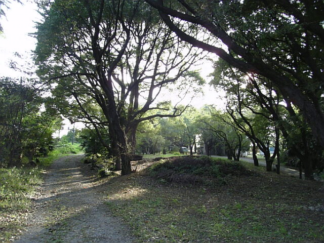 e0083359_19595687.jpg