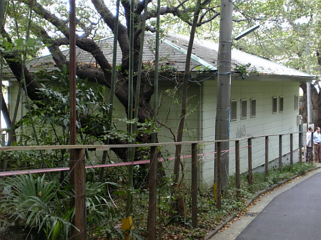 e0083359_2014690.jpg