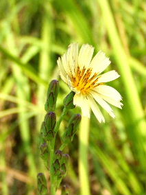 e0067563_027112.jpg