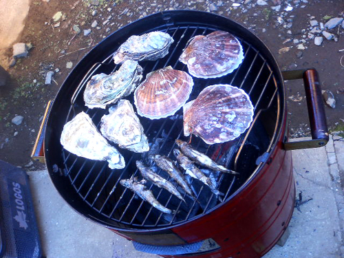 c0044673_15374792.jpg