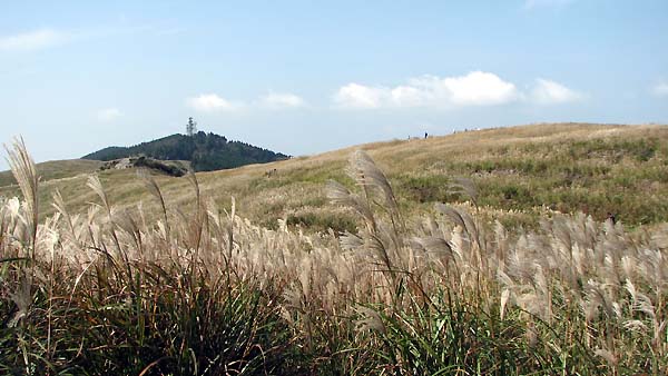 ススキの草原　（和歌山県）　15.Oct.2006（Ⅰ）_d0077083_20473541.jpg