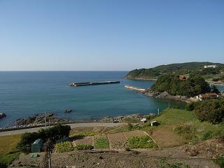 d0087595_113411.jpg