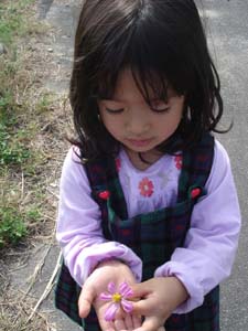 美しい日本の田舎_f0106597_0175350.jpg