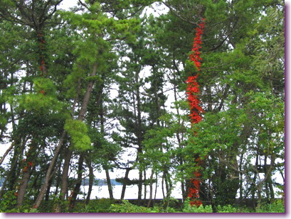 c0048701_2222347.jpg