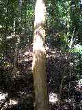 d0032405_2136970.jpg