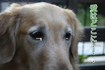 e0072606_1114031.jpg