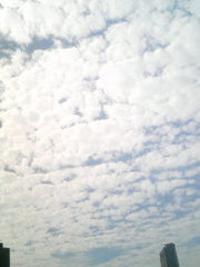 a0088007_20373564.jpg