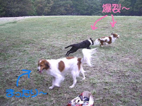 c0065512_15261730.jpg